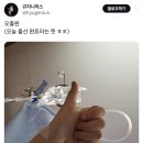 국내 최초 딸 임신 공개했던 레즈비언 부부 출산 완료.twt 이미지