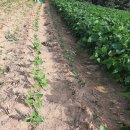 월탄교 화장실 이미지