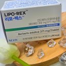 렉스 | 류신 단백질 효능으로 챙기는 혈당 루틴 넬리브 리포렉스 후기