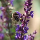 초막골 생태공원 이미지