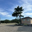 백경오토캠핑장 | [경북/포항 오토캠핑장] 포항 백경오토캠핑장 다녀온 후기