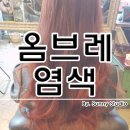 마랑헤어 이미지