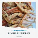 돝섬 | 마산 가볼만한곳 마산어시장 마산항 대게 후기 돝섬 유람선