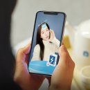 차포차 헤럴드경제