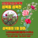 용산에이스공인중개사사무소 이미지