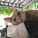 이마트24 세종대율곡관점 | 12월 3주차 블챌_The END