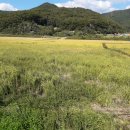 앙성면사무소 이미지