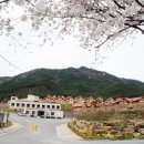 곡성강빛마을펜션 이미지