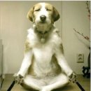 요가라테스 이미지