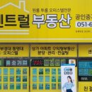 119부동산공인중개사사무소 이미지