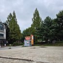 호수양곱창구이 | 호수양곱창구이전문점 일산 풍산역 솔직리뷰