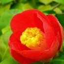 새봄펜션 이미지