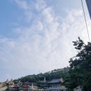 묵언 | 경자 첫 트레킹) 오시리아 해안산책코스+해동용궁사 ft.묵언수행/테라헤르츠팔찌구매후기