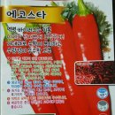 동신농약사 | 탄저병 역병 바이러스에 강한 에코스타