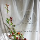 크레센트 (CRESCENT) 이미지