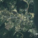 대일부동산중개사무소 이미지