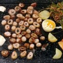 막창시대