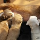 신덕마을 이미지