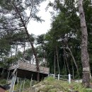 멍빨 | 두번째 캠핑. 경기도 가평 &lt;선택적고립&gt; A6 +애견동반