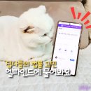 반려동물 의료 분쟁 어떻게 하나요? 법률 AI 엘파인드 처음 써본 솔직 후기