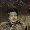 세포농장 이미지