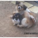 튼튼소아과의원 이미지