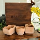 정원초등학교 이미지