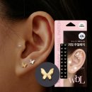 더블유 카카오 검색결과