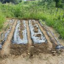 추월농장2 이미지