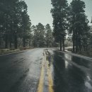 오늘도 남해 이미지