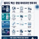 (주)경보제약 | 셀리드 주가 전망, 상한가 이후 반드시 확인해야 할 임상·유상증자·재무 리스크