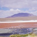 생자연 | 드디어 볼리비아