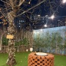 청운동물병원 | 광주 포차 야장감성 술집 해방촌