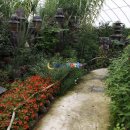 부여생활사박물관 이미지