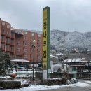 감나무집 | 충주 수안보면 맛집 꿩요리전문점 꿩코스요리 감나무집