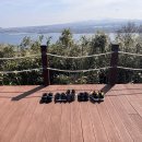 붓다스쿨 가을 자체 10km 마라톤 이미지