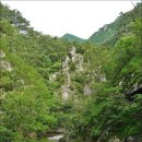 산성골 티스토리