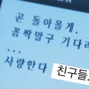 버블리 이미지