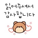 숲속의 예쁜별 이미지