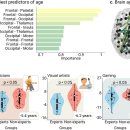 퍼피's 데이 이미지
