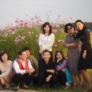 김제 지평선 코스모스 백리 길에서 일몰 직전 망해사의 34차 꽃산행 이미지
