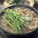 입석농장 | 26年 7月 28日 (火) : 전남 여행 후기 (Feat. 김햄찌 팝업)