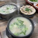 산호동286 | 마산 산호동 돼지국밥 맛집 - 24시 남양돼지국밥