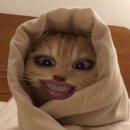 백만불노래연습장(지하1층) | 2026년 2월 일기 모음