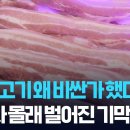로그인마트 Daum카페