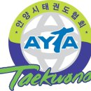 용인대 여명태권도 이미지