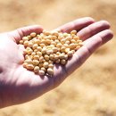 워너짐 장전 이미지