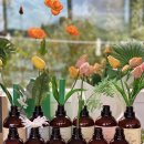 위즈코퍼레이션 이미지