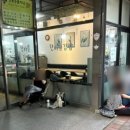 늘푸른한의원 | 늘푸른한의원 개봉동 새벽 오픈런 방법 및 후기