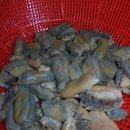 몽산펜션 이미지